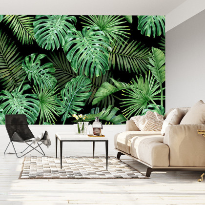 Fototapeta Liście Monstera