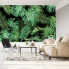 Fototapeta Liście Monstera