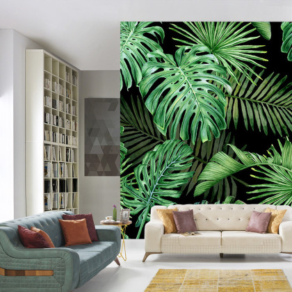 Fototapeta Liście Monstera