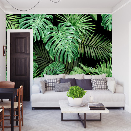Fototapeta Liście Monstera