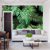 Fototapeta Liście Monstera