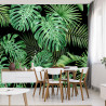 Fototapeta Liście Monstera