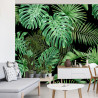 Fototapeta Liście Monstera