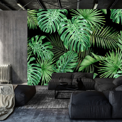 Fototapeta Liście Monstera