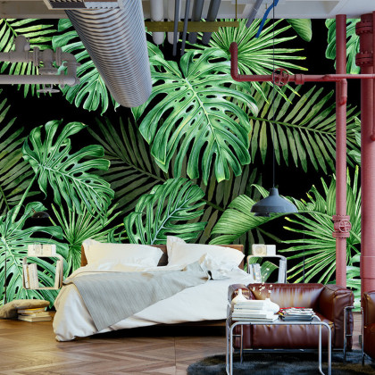 Fototapeta Liście Monstera