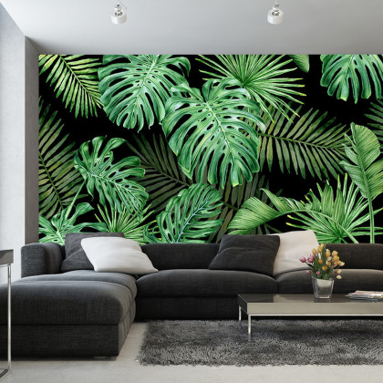 Fototapeta Liście Monstera