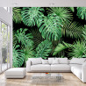 Fototapeta Liście Monstera