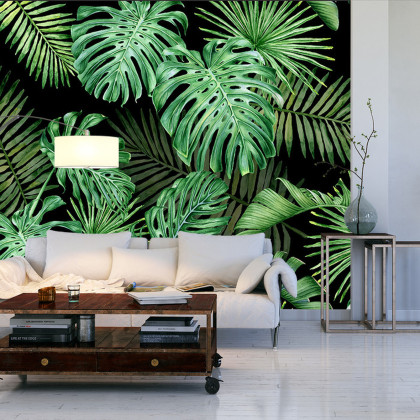 Fototapeta Liście Monstera