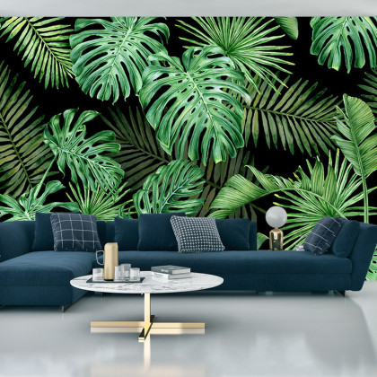 Fototapeta Liście Monstera