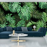 Fototapeta Liście Monstera