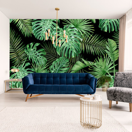 Fototapeta Liście Monstera
