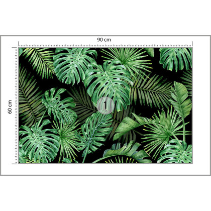 Fototapeta Liście Monstera