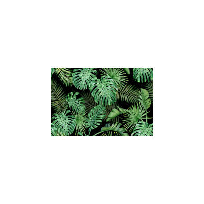 Fototapeta Liście Monstera
