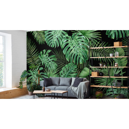 Fototapeta Liście Monstera