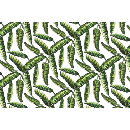 Fototapeta Liście Natura