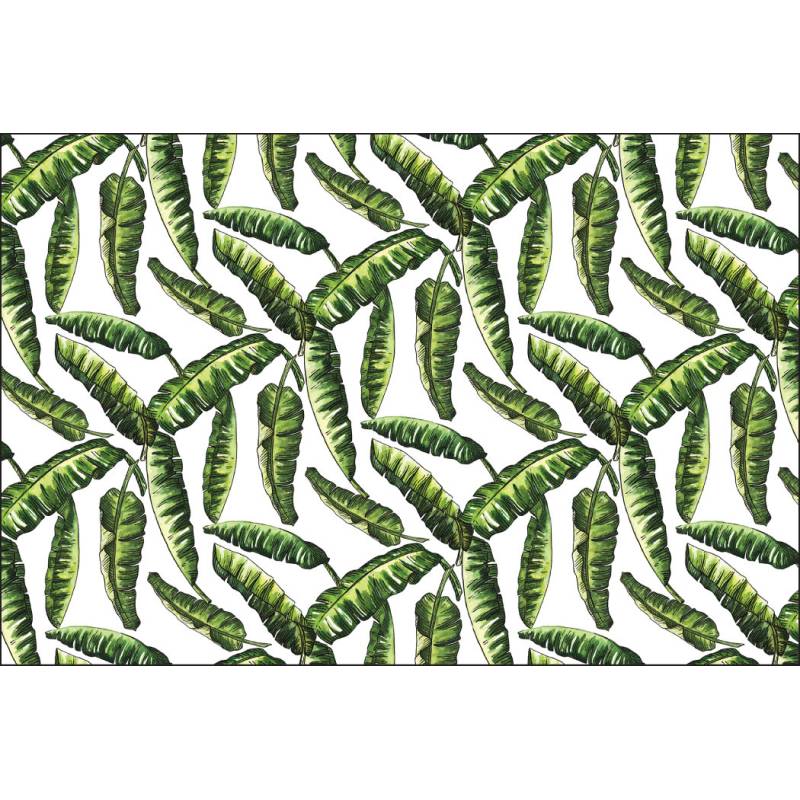 Fototapeta Liście Natura