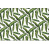 Fototapeta Liście Natura