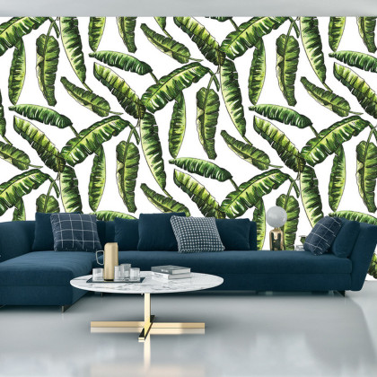 Fototapeta Liście Natura