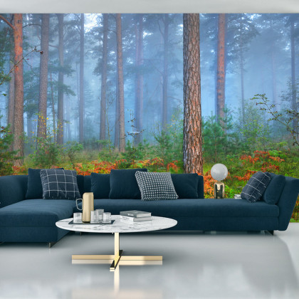 Fototapeta Las We Mgle