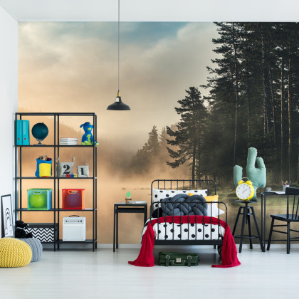 Fototapeta Las We Mgle