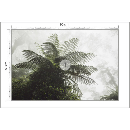 Fototapeta Las We Mgle