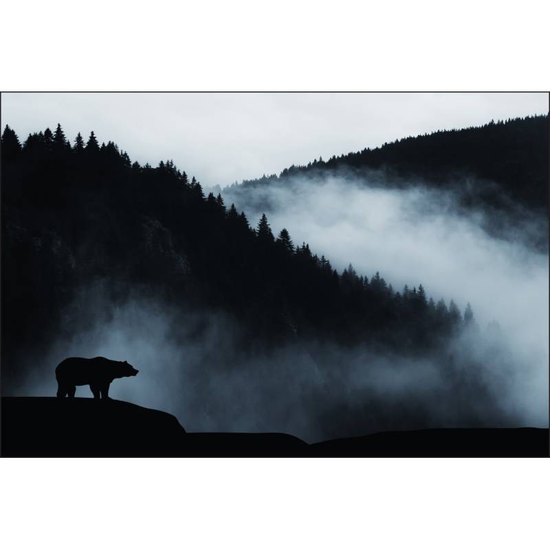 Fototapeta Niedźwiedź W Górach