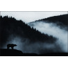 Fototapeta Niedźwiedź W Górach
