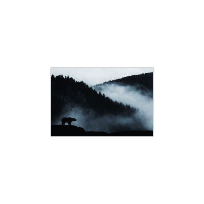 Fototapeta Niedźwiedź W Górach