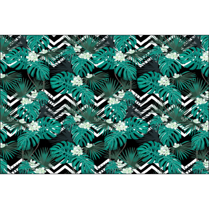 Fototapeta Liście Monstera