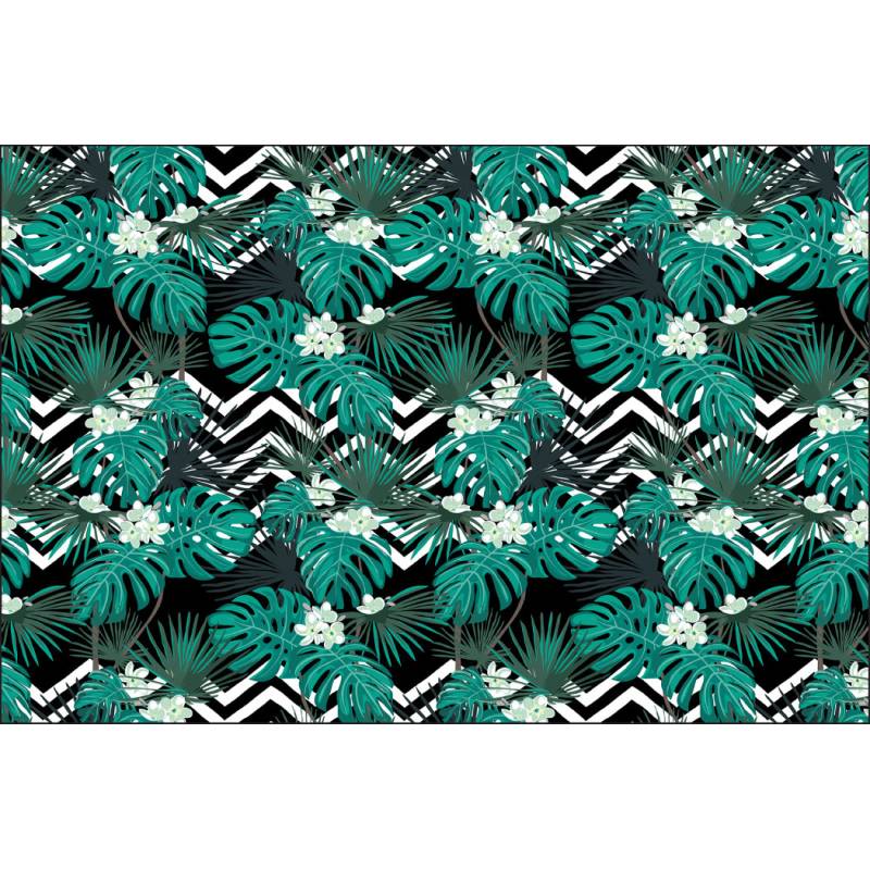 Fototapeta Liście Monstera