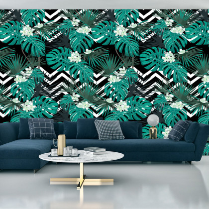 Fototapeta Liście Monstera