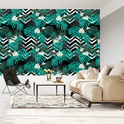 Fototapeta Liście Monstera