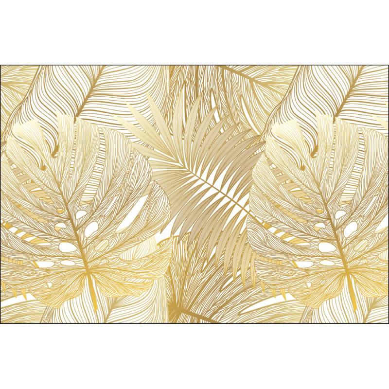 Fototapeta Liście Monstera