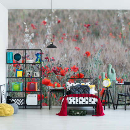 Fototapeta Pole Maków