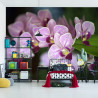 Fototapeta Piękne Orchidee
