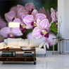 Fototapeta Piękne Orchidee
