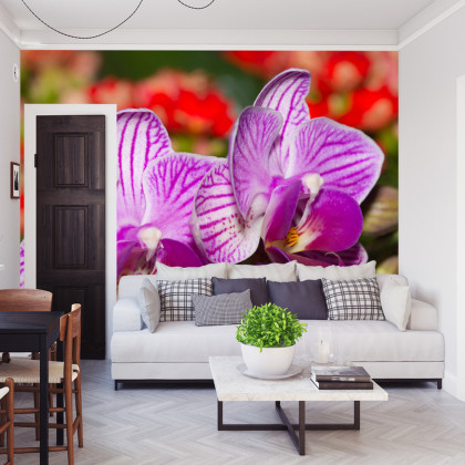 Fototapeta Optyczna Orchidea 3D