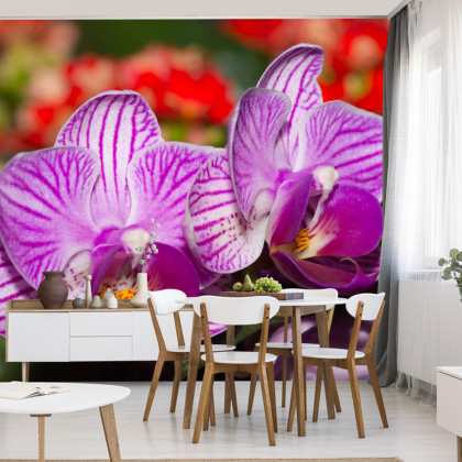 Fototapeta Optyczna Orchidea 3D