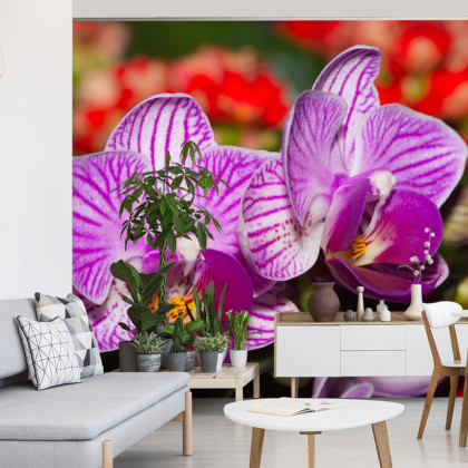 Fototapeta Optyczna Orchidea 3D