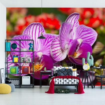 Fototapeta Optyczna Orchidea 3D