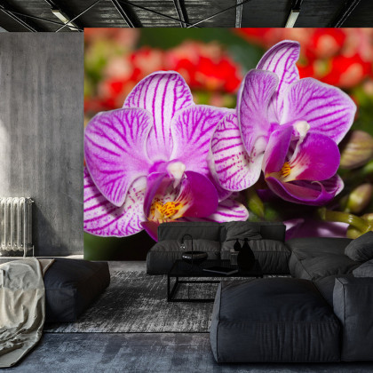 Fototapeta Optyczna Orchidea 3D