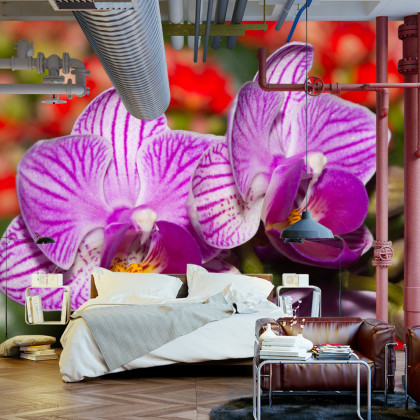 Fototapeta Optyczna Orchidea 3D