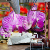 Fototapeta Optyczna Orchidea 3D