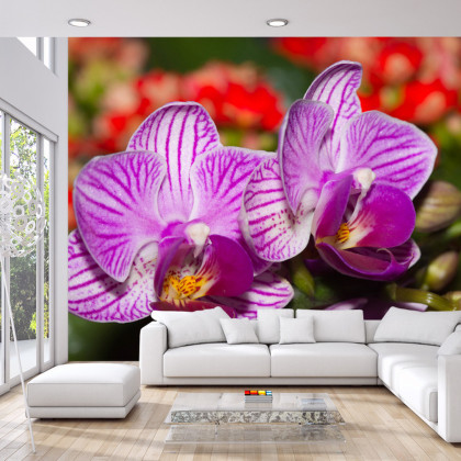Fototapeta Optyczna Orchidea 3D