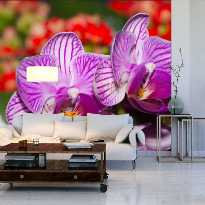 Fototapeta Optyczna Orchidea 3D