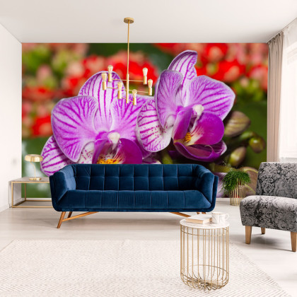 Fototapeta Optyczna Orchidea 3D