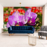 Fototapeta Optyczna Orchidea 3D