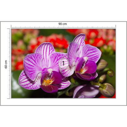 Fototapeta Optyczna Orchidea 3D