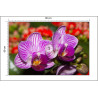 Fototapeta Optyczna Orchidea 3D