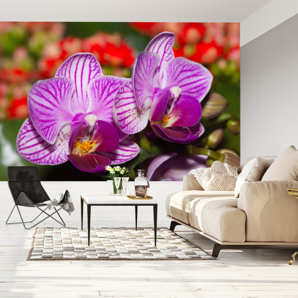 Fototapeta Optyczna Orchidea 3D